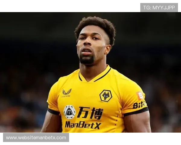 ManBetX万博安卓版新手指南，帮助新用户快速上手，轻松掌握投注技巧